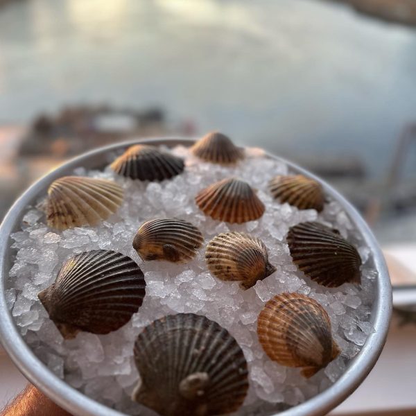 Matunuck Atelier - Oyster Bar