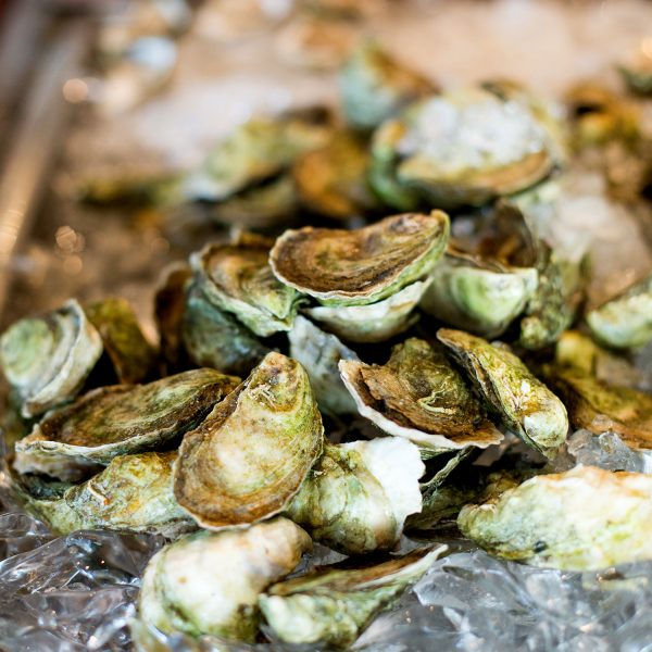 Matunuck Atelier - Raw Bar