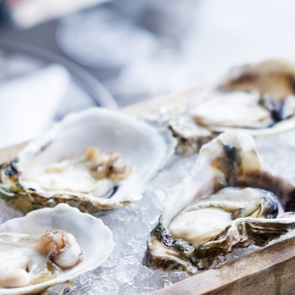 Matunuck Atelier - Oyster Bar